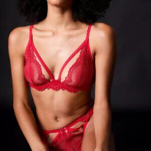 Journelle Lace Natalia Demi Bras and Natalia String Thong / color: scarlet
